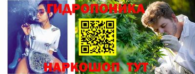 СК Гусь-Хрустальный