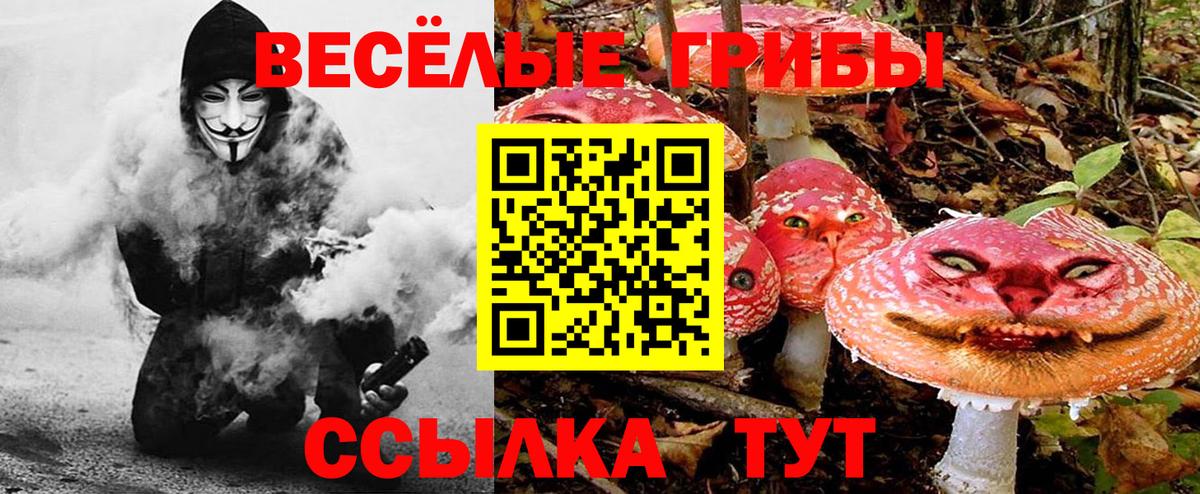 Галлюциногенные грибы мухоморы  Вход с VPN  Ишимбай 